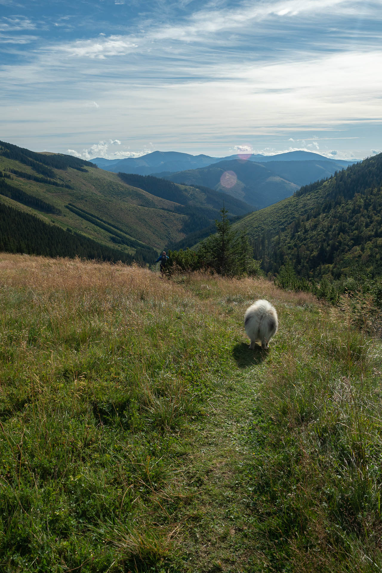 Rovná hoľa z Vyšnej Boce (Nízke Tatry)