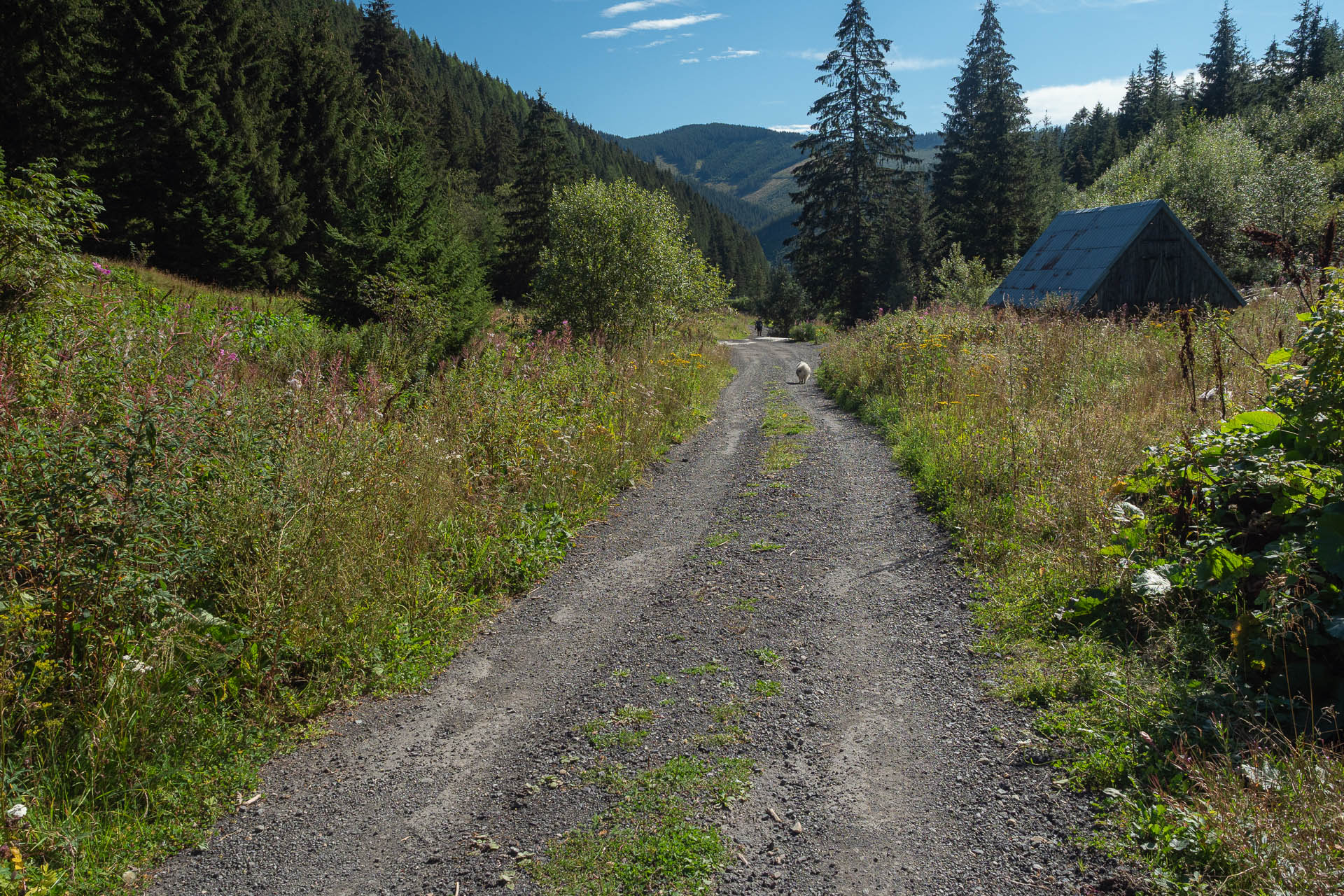 Rovná hoľa z Vyšnej Boce (Nízke Tatry)