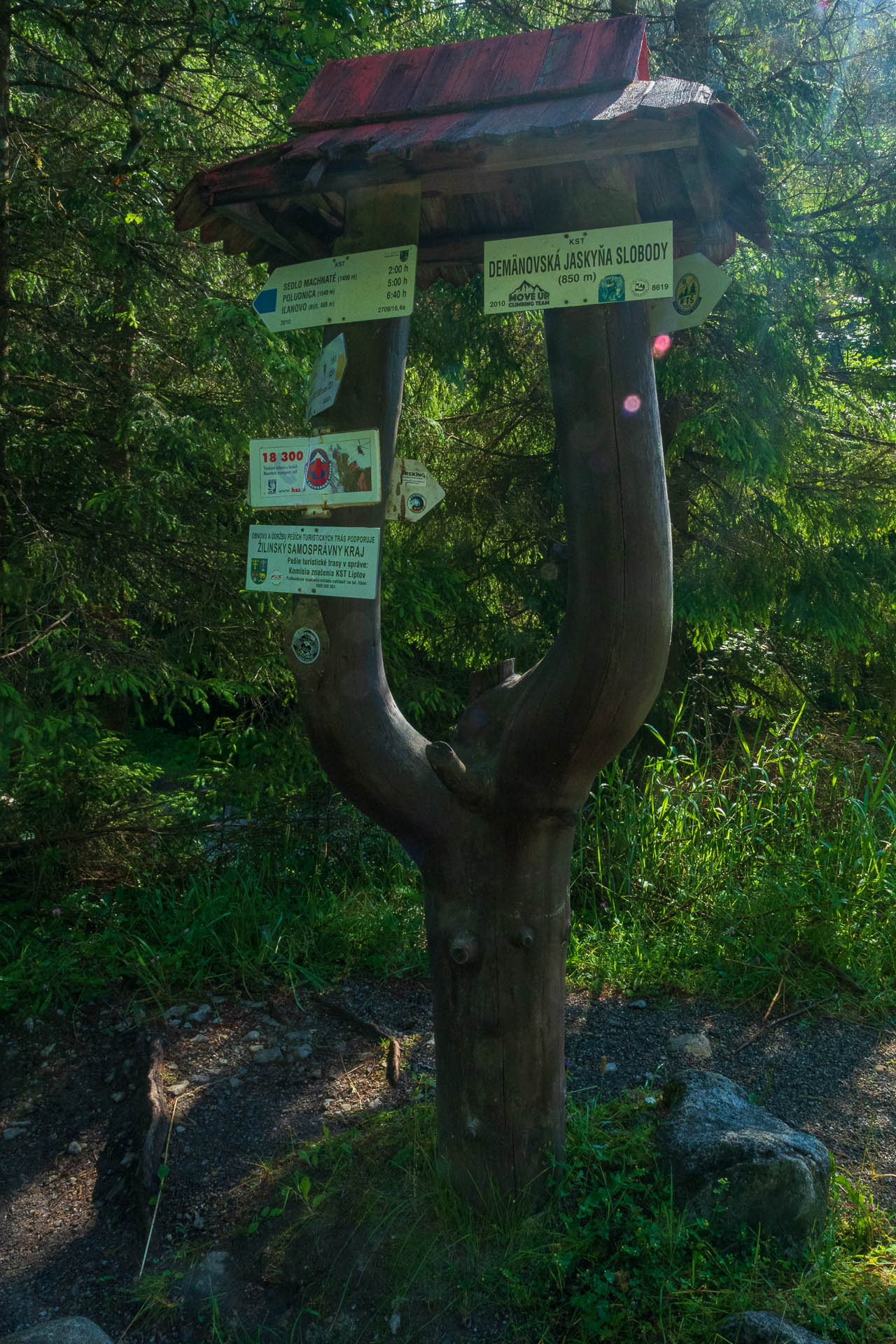 Siná od Demänovskej jaskyne slobody (Nízke Tatry)