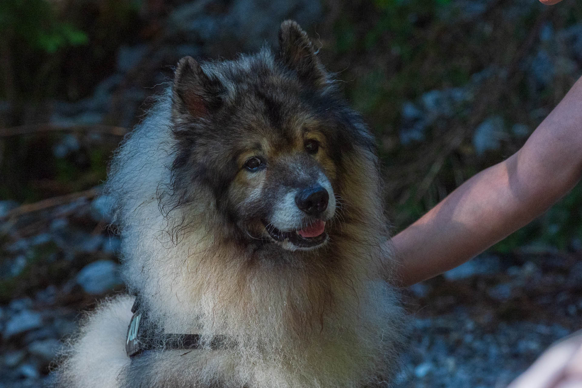 Siná od Demänovskej jaskyne slobody (Nízke Tatry)