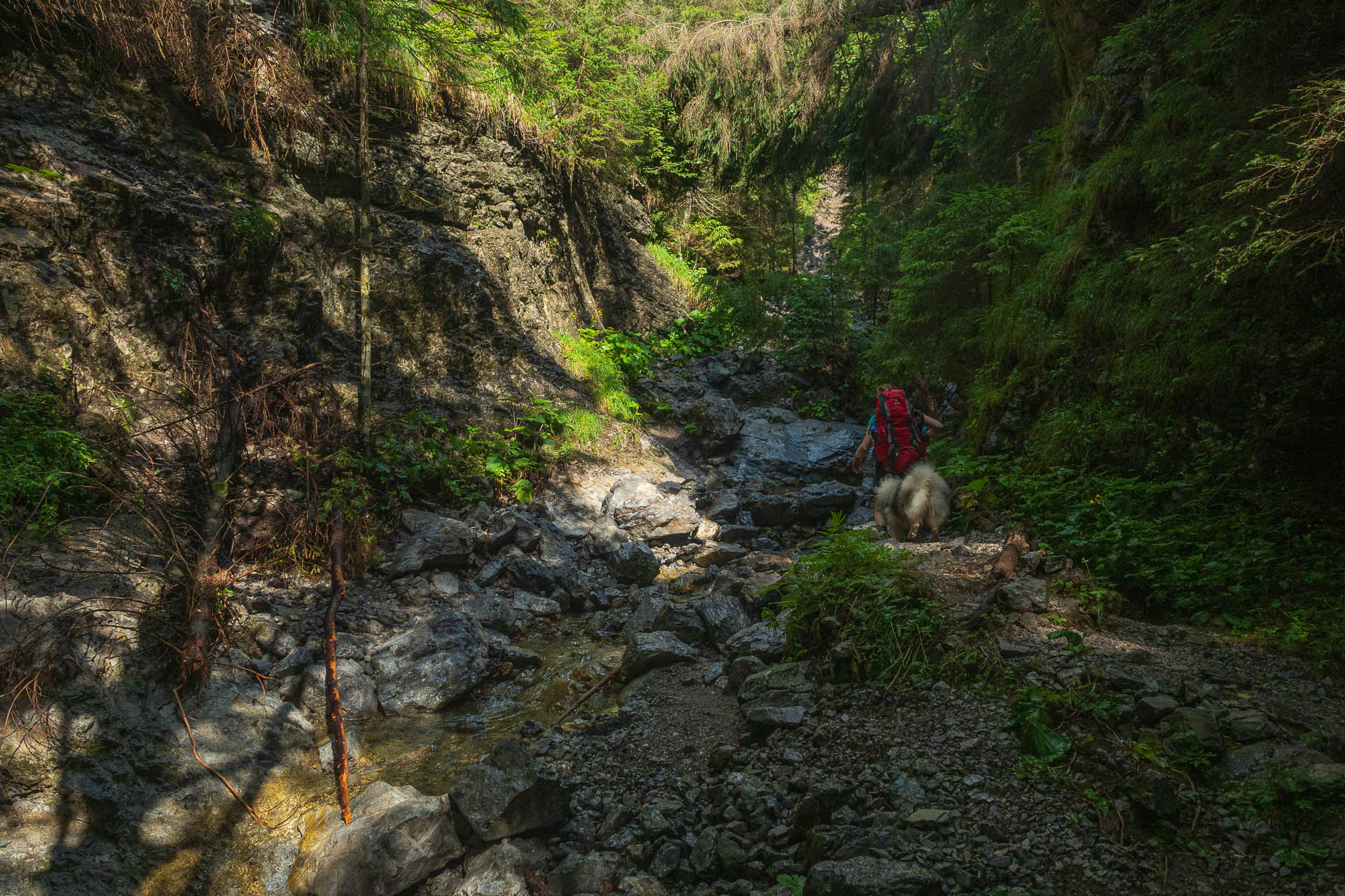 Siná od Demänovskej jaskyne slobody (Nízke Tatry)