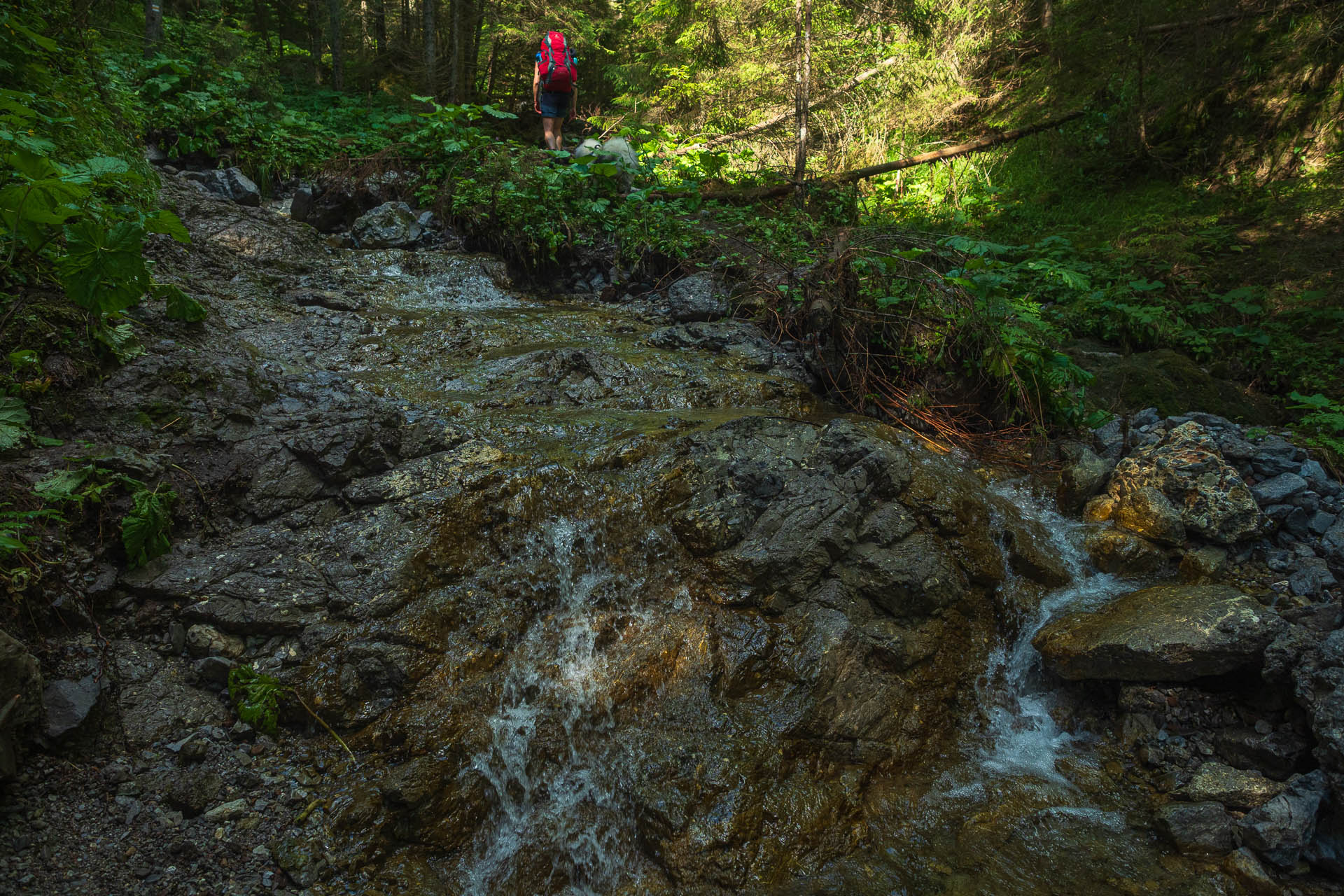 Siná od Demänovskej jaskyne slobody (Nízke Tatry)