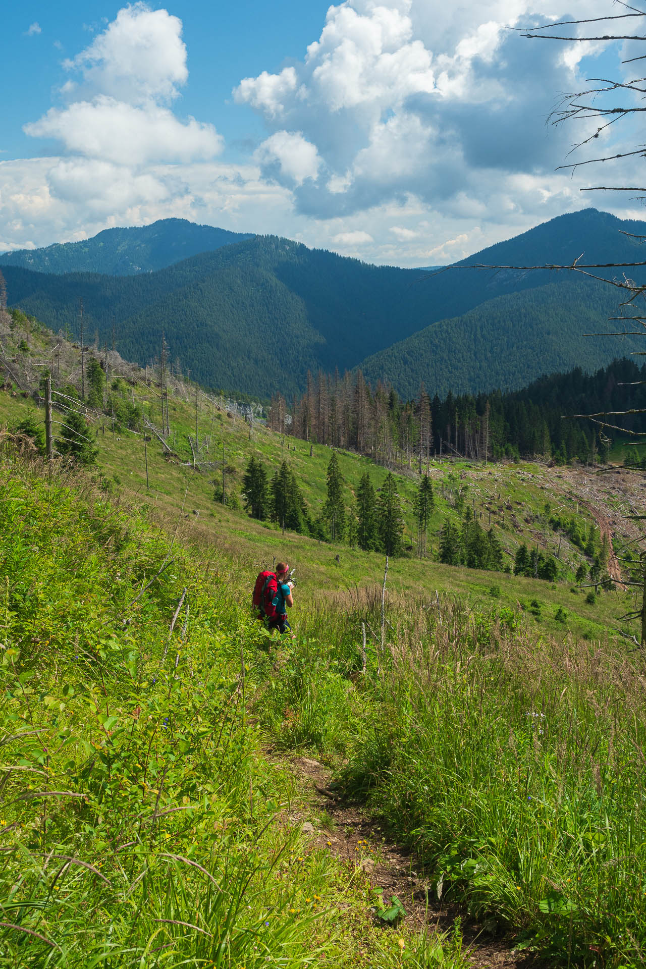 Siná od Demänovskej jaskyne slobody (Nízke Tatry)