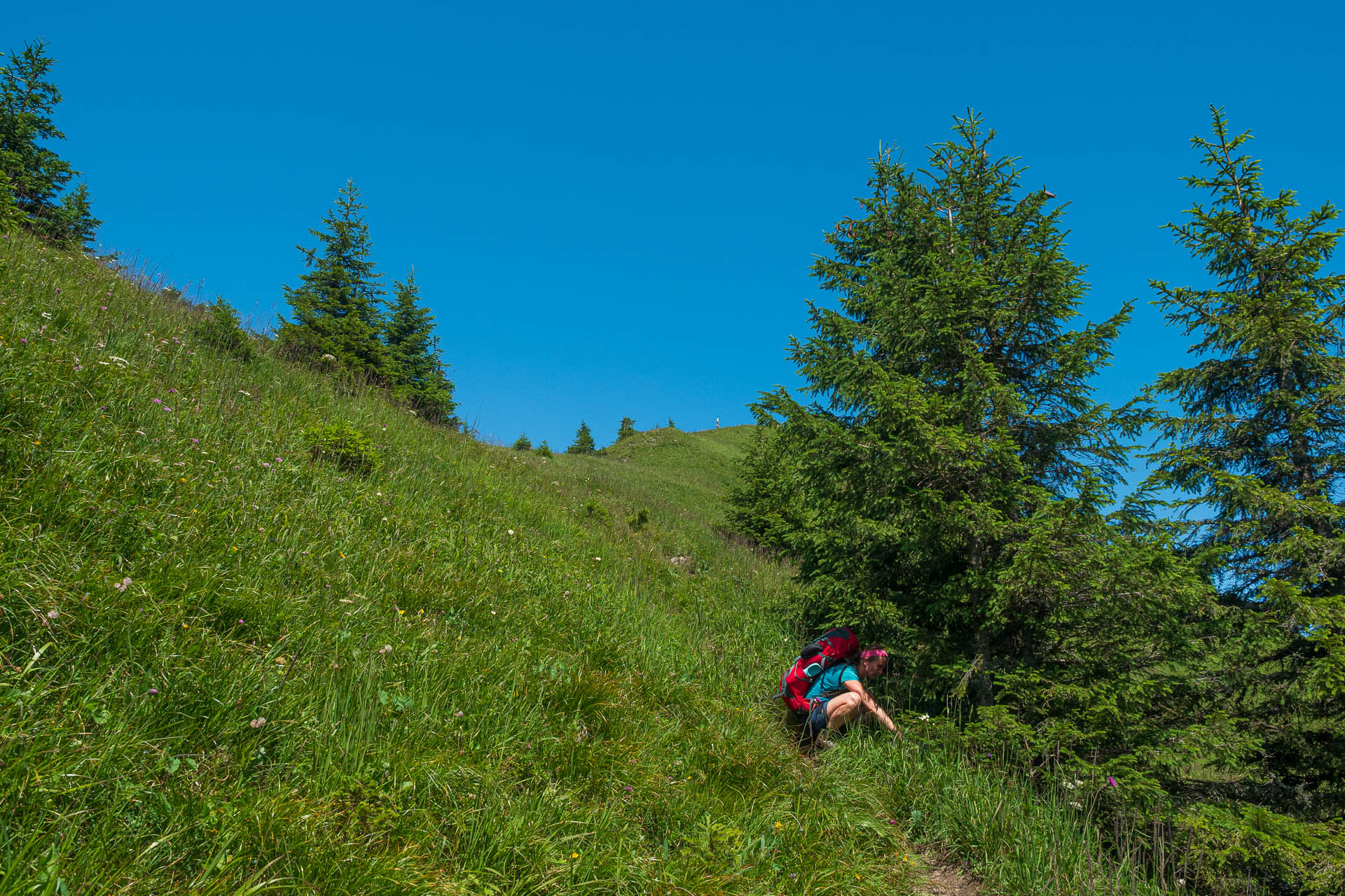 Siná od Demänovskej jaskyne slobody (Nízke Tatry)