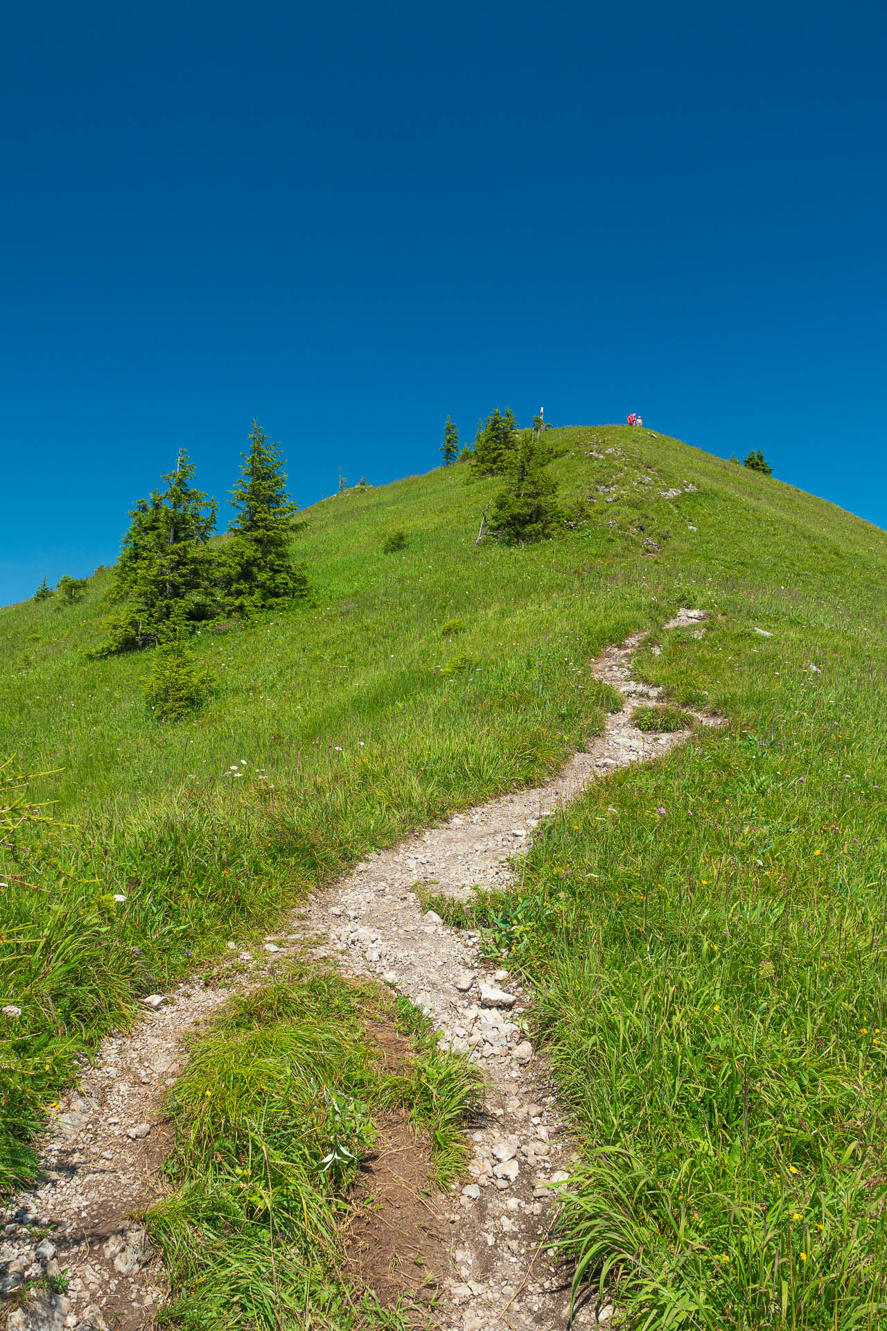 Siná od Demänovskej jaskyne slobody (Nízke Tatry)