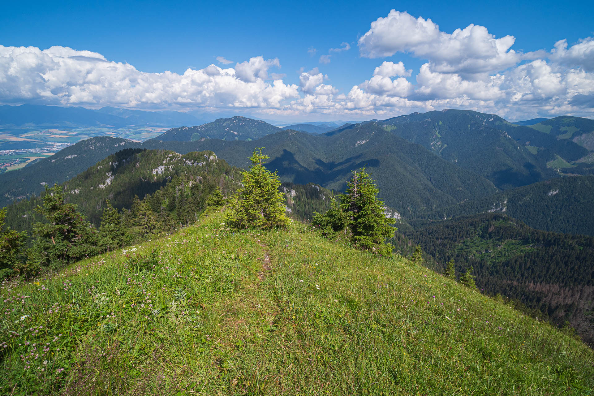 Siná od Demänovskej jaskyne slobody (Nízke Tatry)