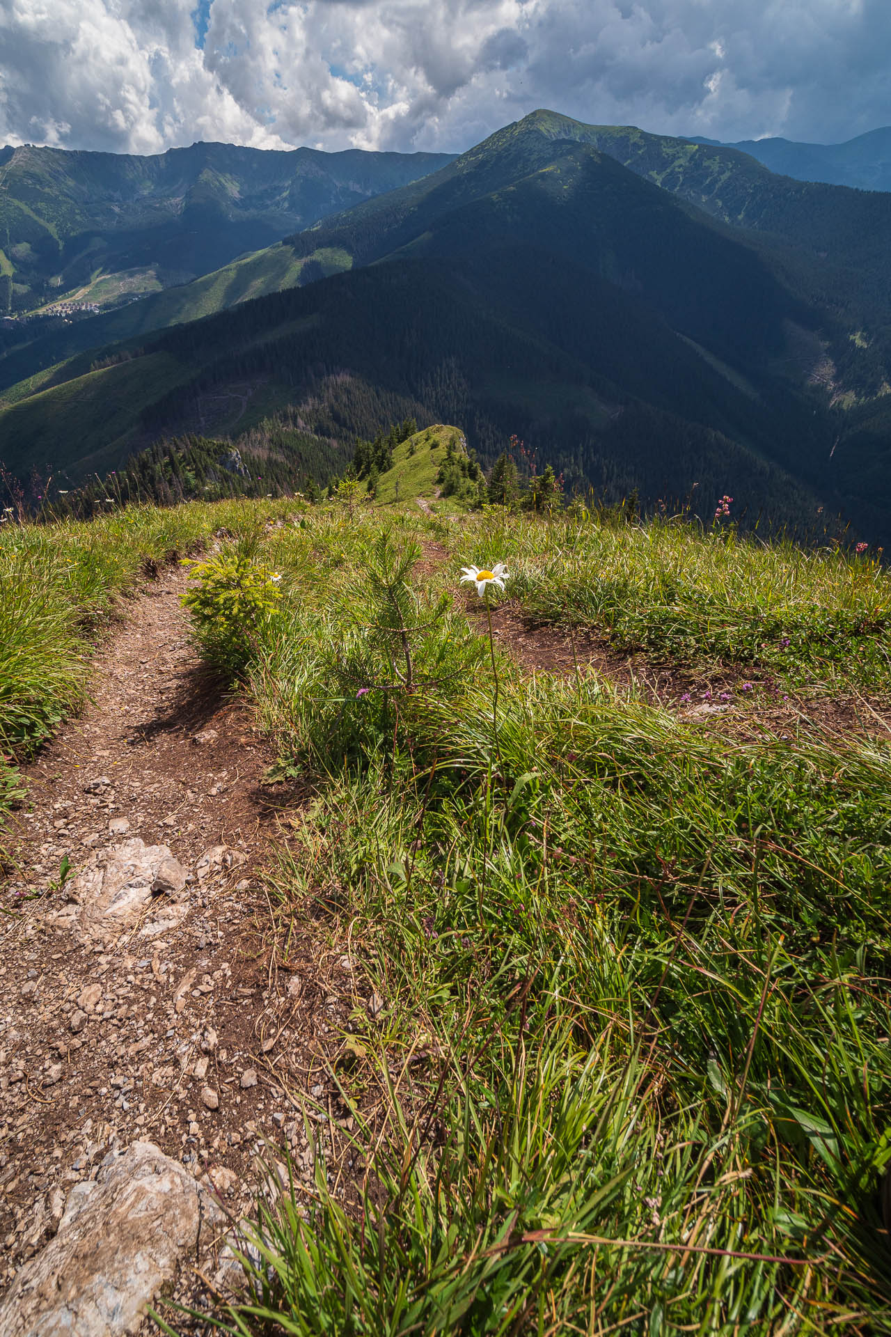 Siná od Demänovskej jaskyne slobody (Nízke Tatry)