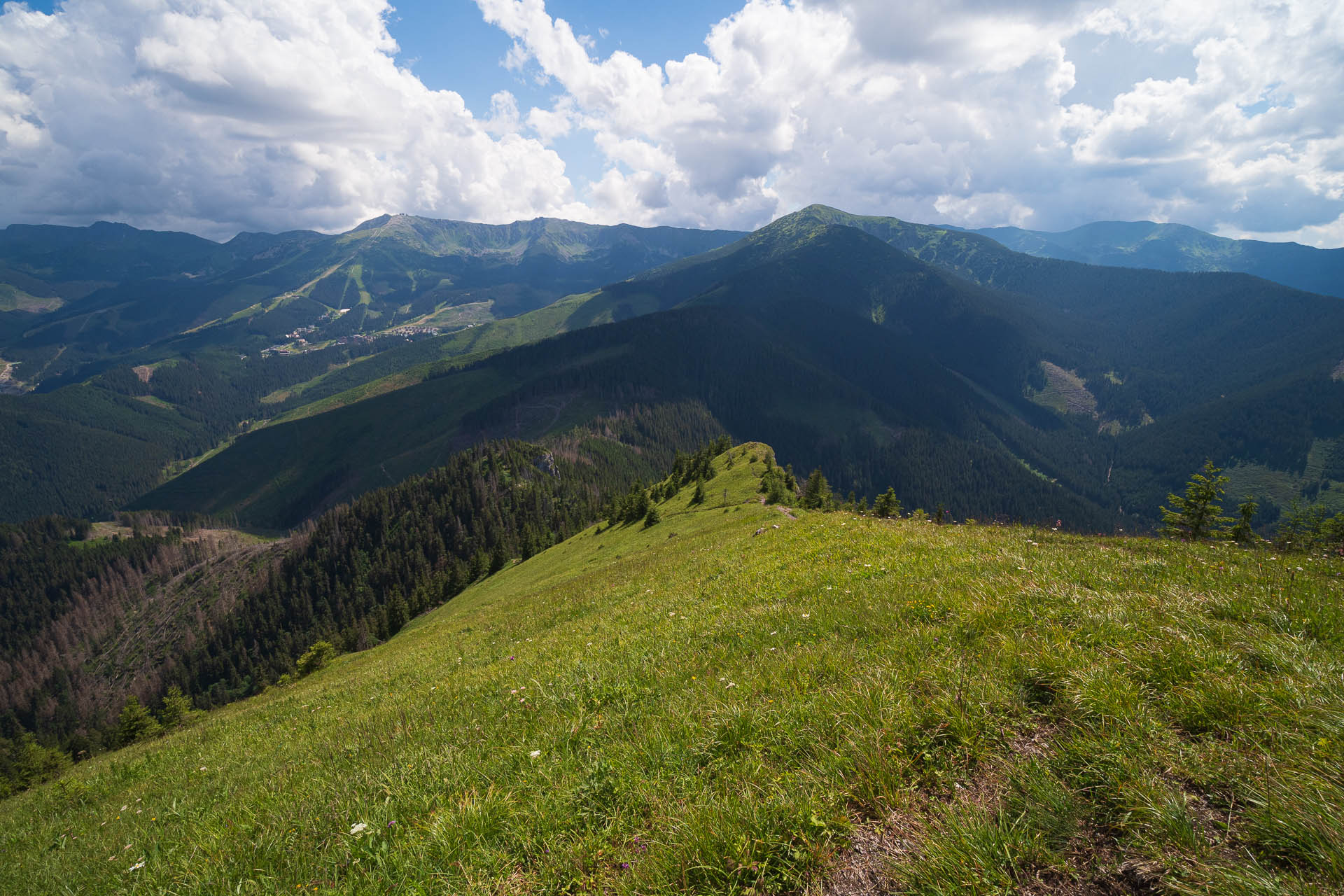 Siná od Demänovskej jaskyne slobody (Nízke Tatry)