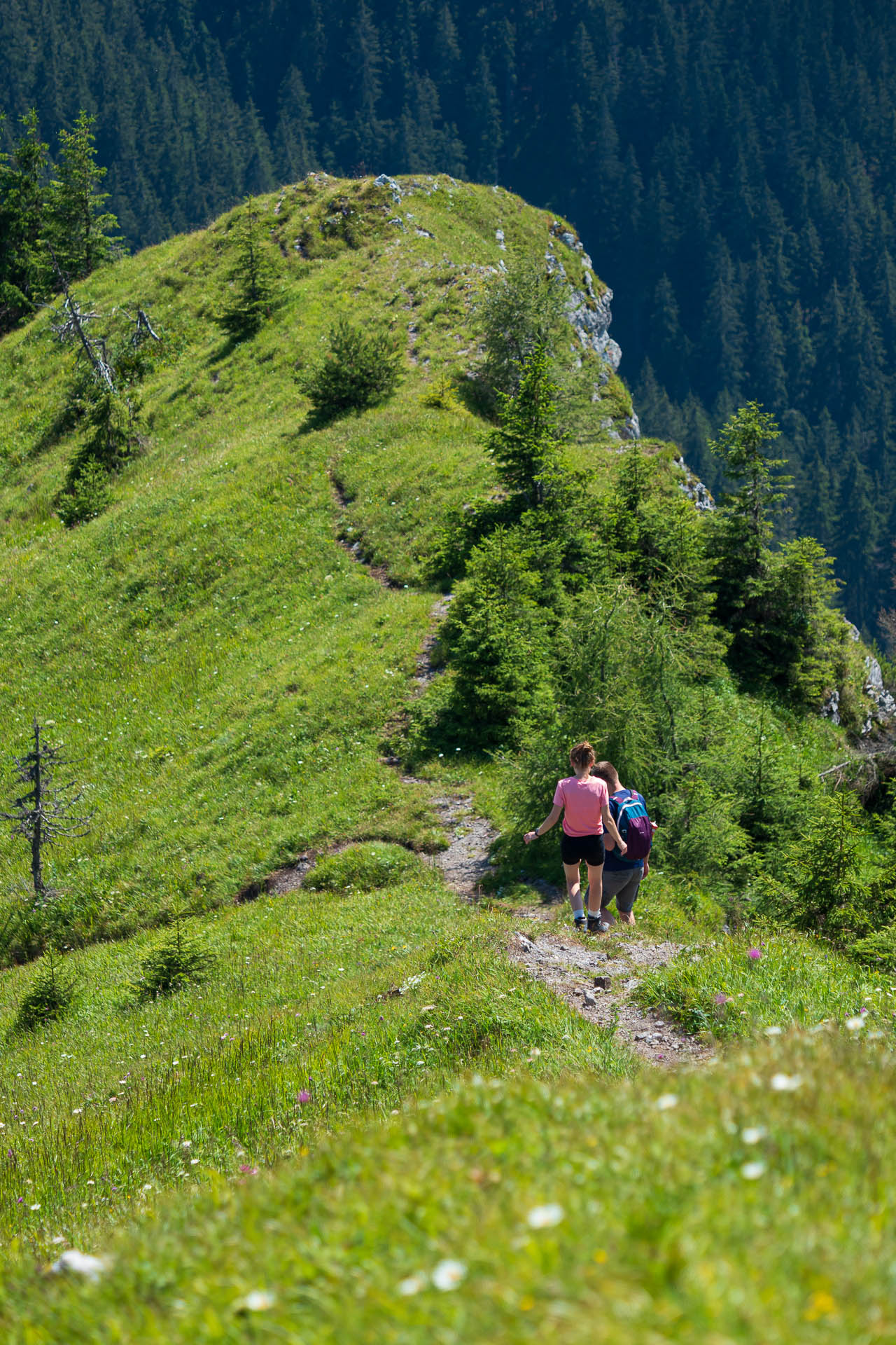 Siná od Demänovskej jaskyne slobody (Nízke Tatry)