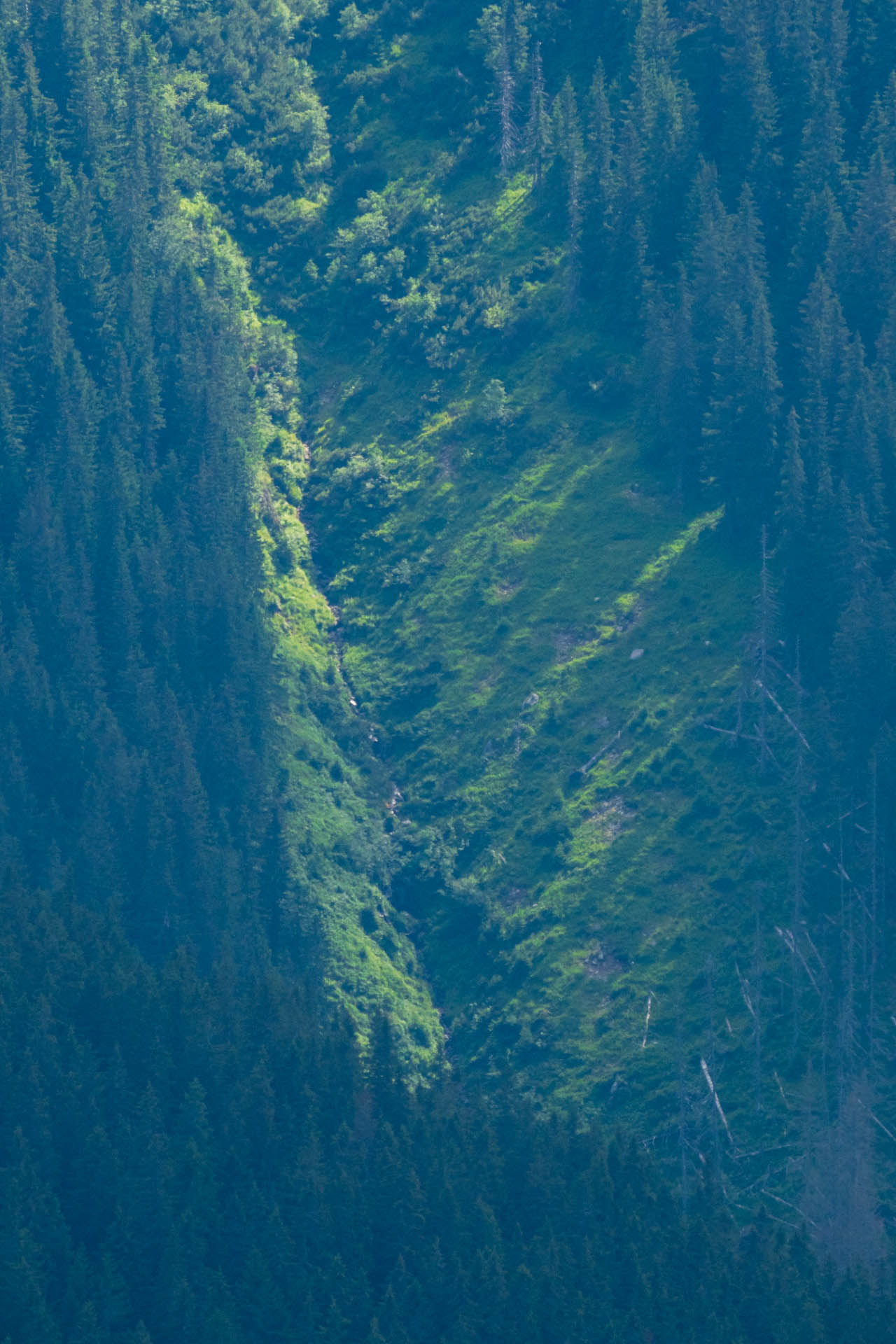 Siná od Demänovskej jaskyne slobody (Nízke Tatry)