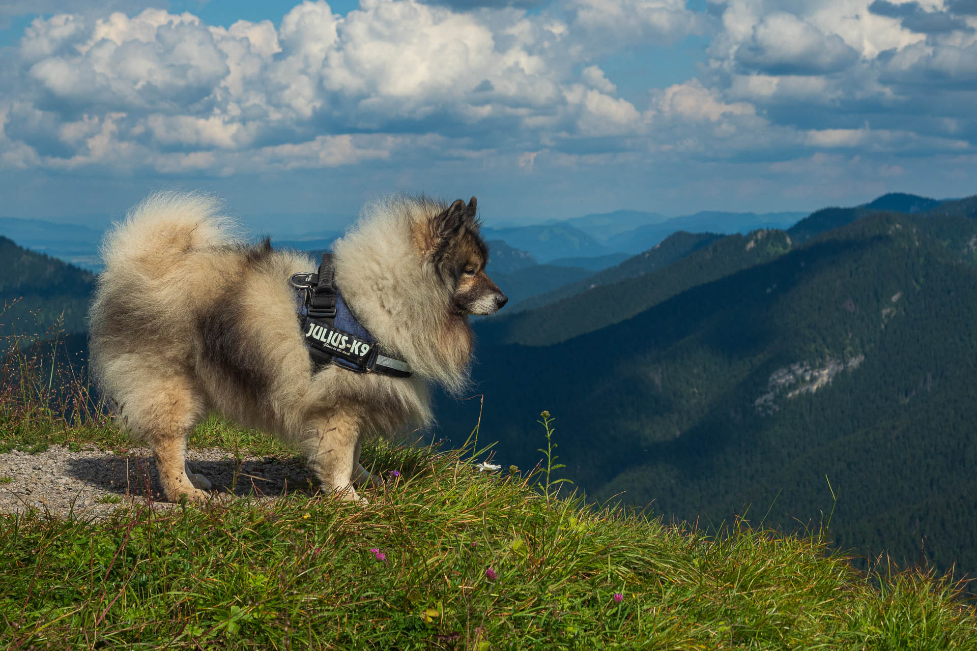 Siná od Demänovskej jaskyne slobody (Nízke Tatry)