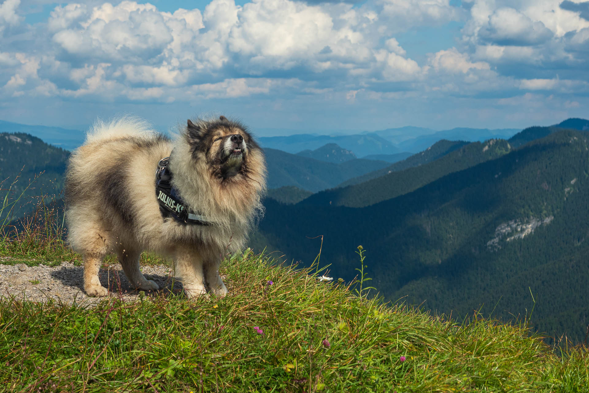 Siná od Demänovskej jaskyne slobody (Nízke Tatry)