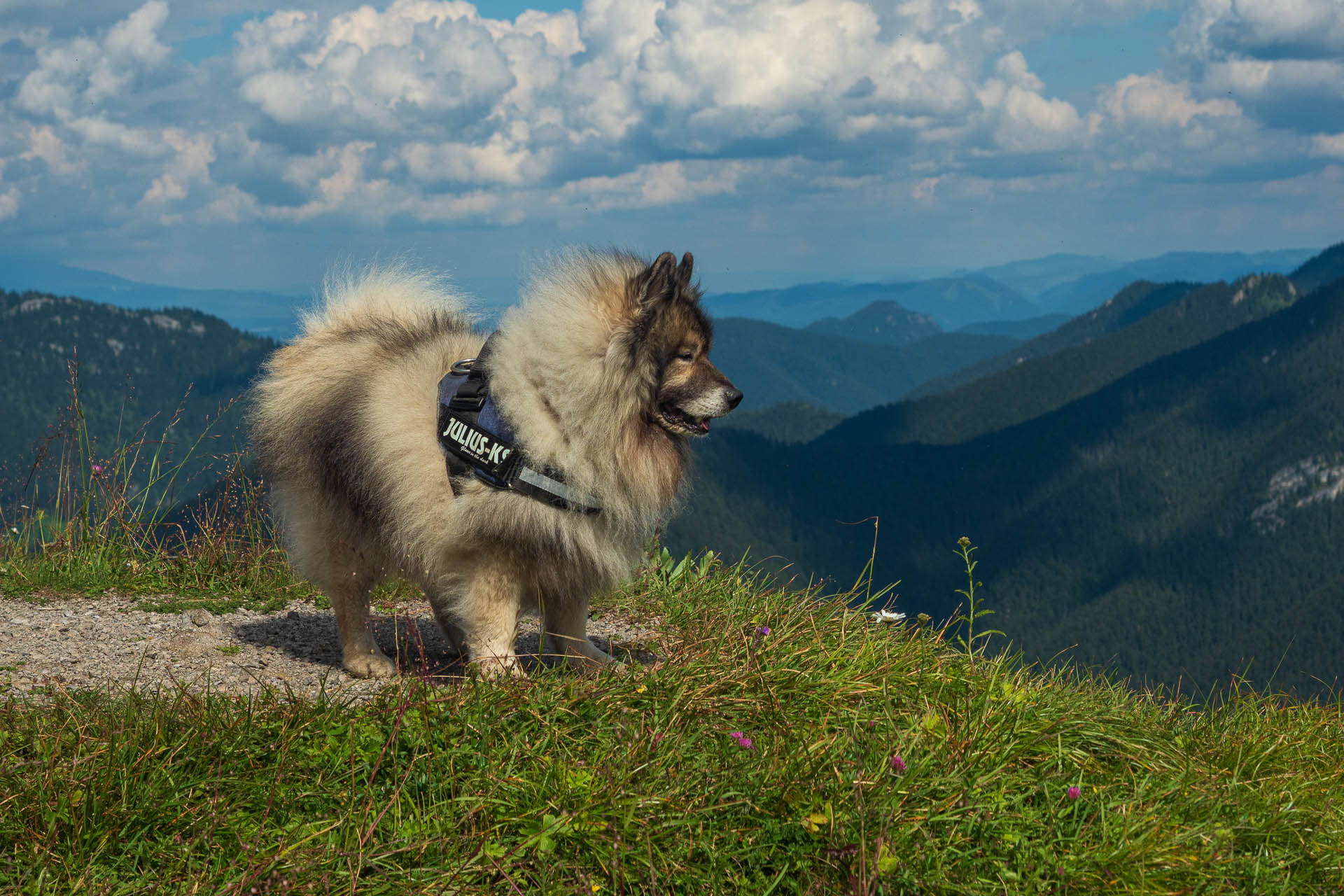 Siná od Demänovskej jaskyne slobody (Nízke Tatry)