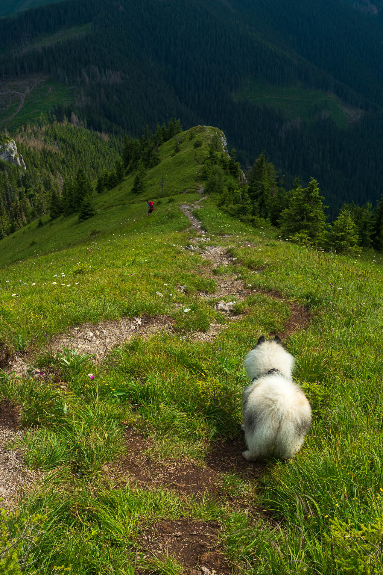 Siná od Demänovskej jaskyne slobody (Nízke Tatry)