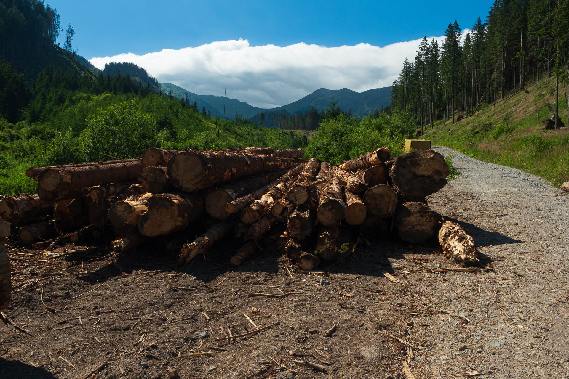 Siná od Demänovskej jaskyne slobody (Nízke Tatry)