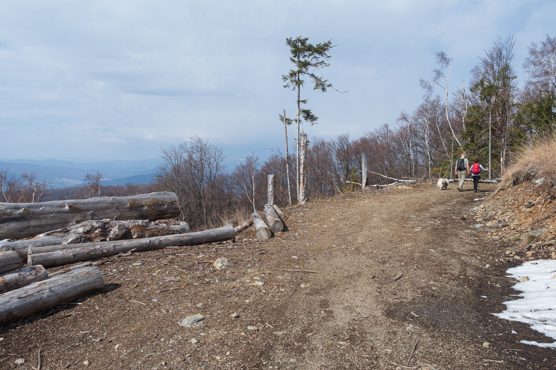 Skalisko z Čučmy (Volovské vrchy)