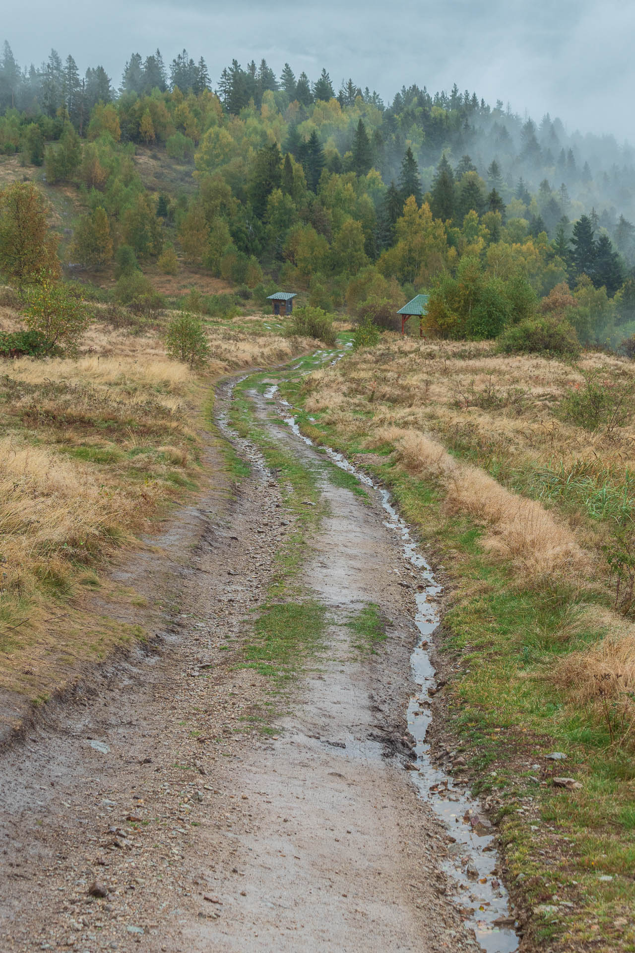 Sľubica z Dúbravy (Branisko a Bachureň)