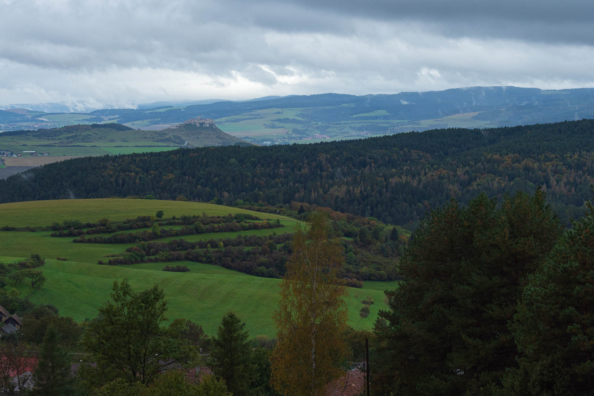 Sľubica z Dúbravy (Branisko a Bachureň)