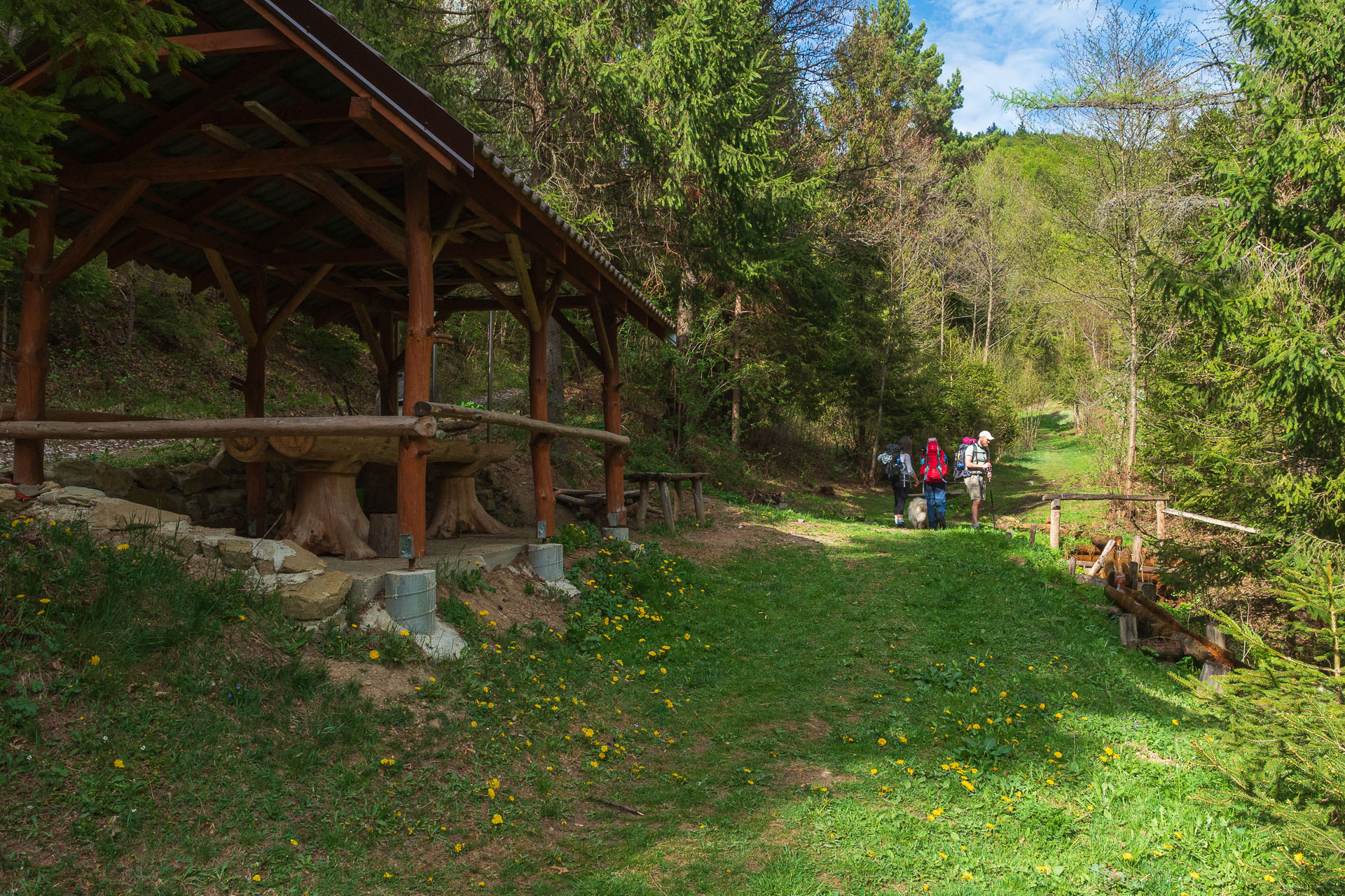 Sľubica z Vojkoviec (Branisko a Bachureň)