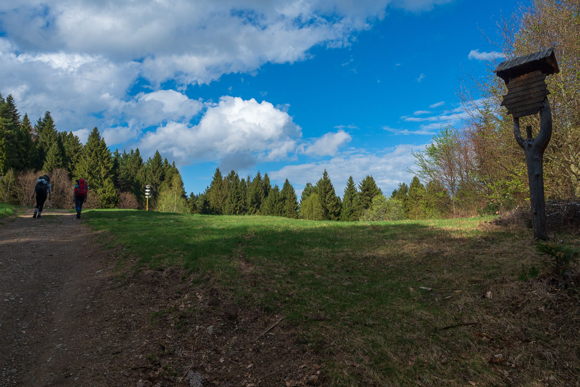 Sľubica z Vojkoviec (Branisko a Bachureň)