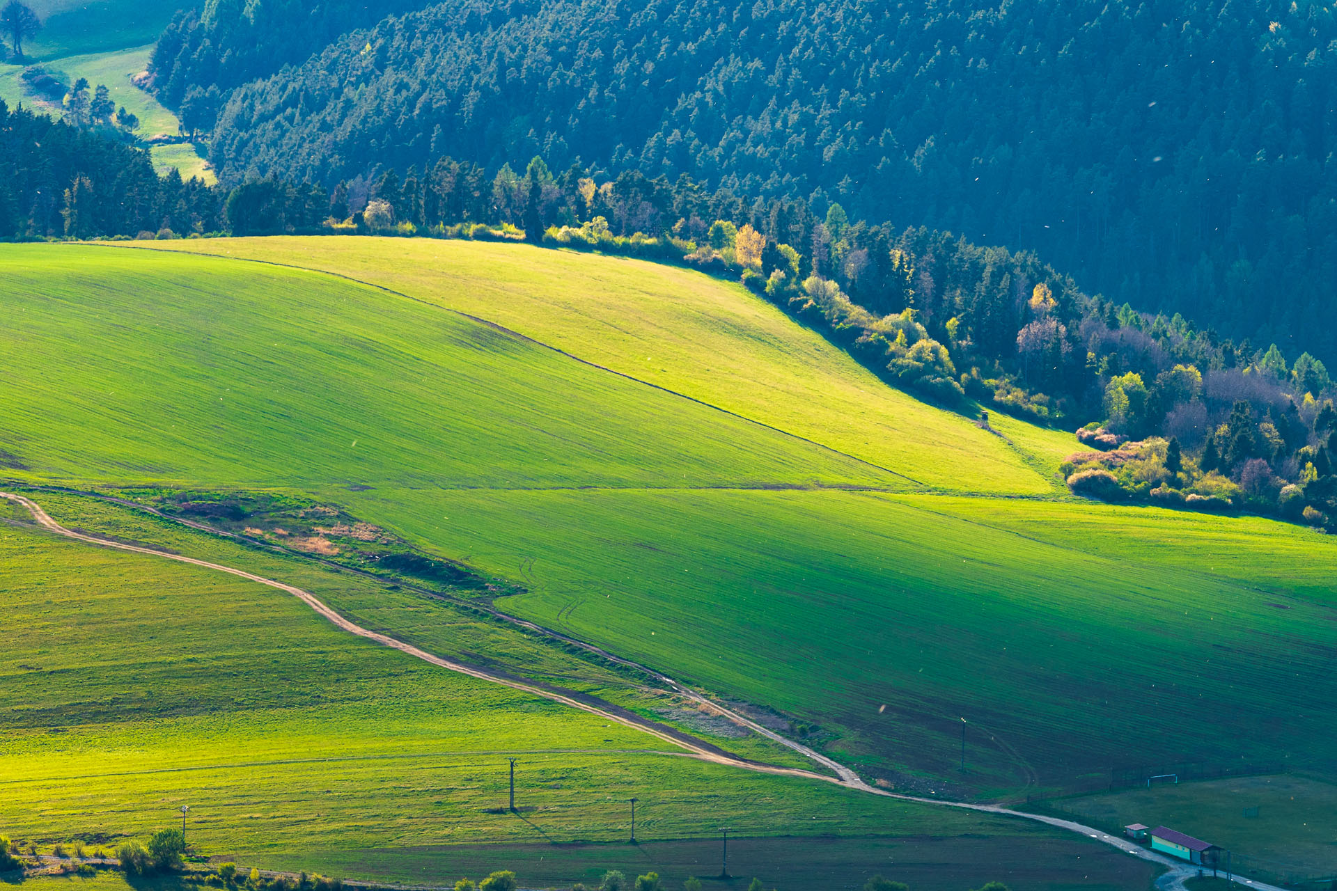 Sľubica z Vojkoviec (Branisko a Bachureň)