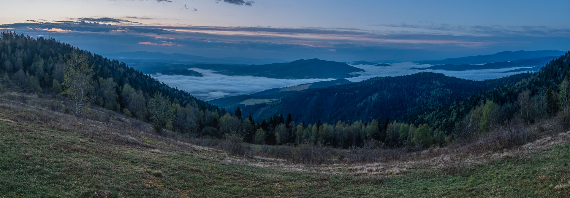 Sľubica z Vojkoviec (Branisko a Bachureň)