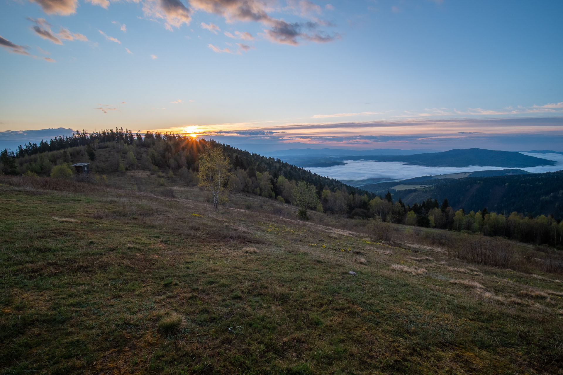 Sľubica z Vojkoviec (Branisko a Bachureň)