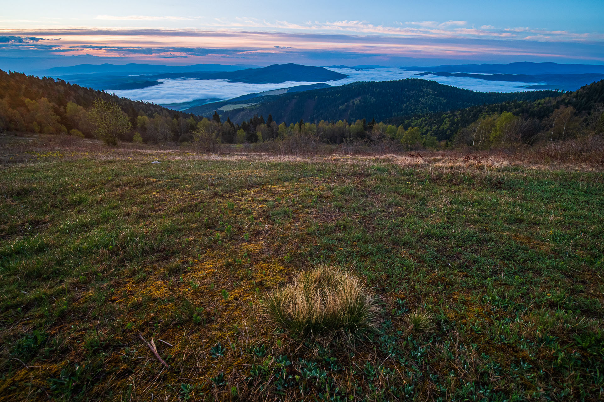 Sľubica z Vojkoviec (Branisko a Bachureň)