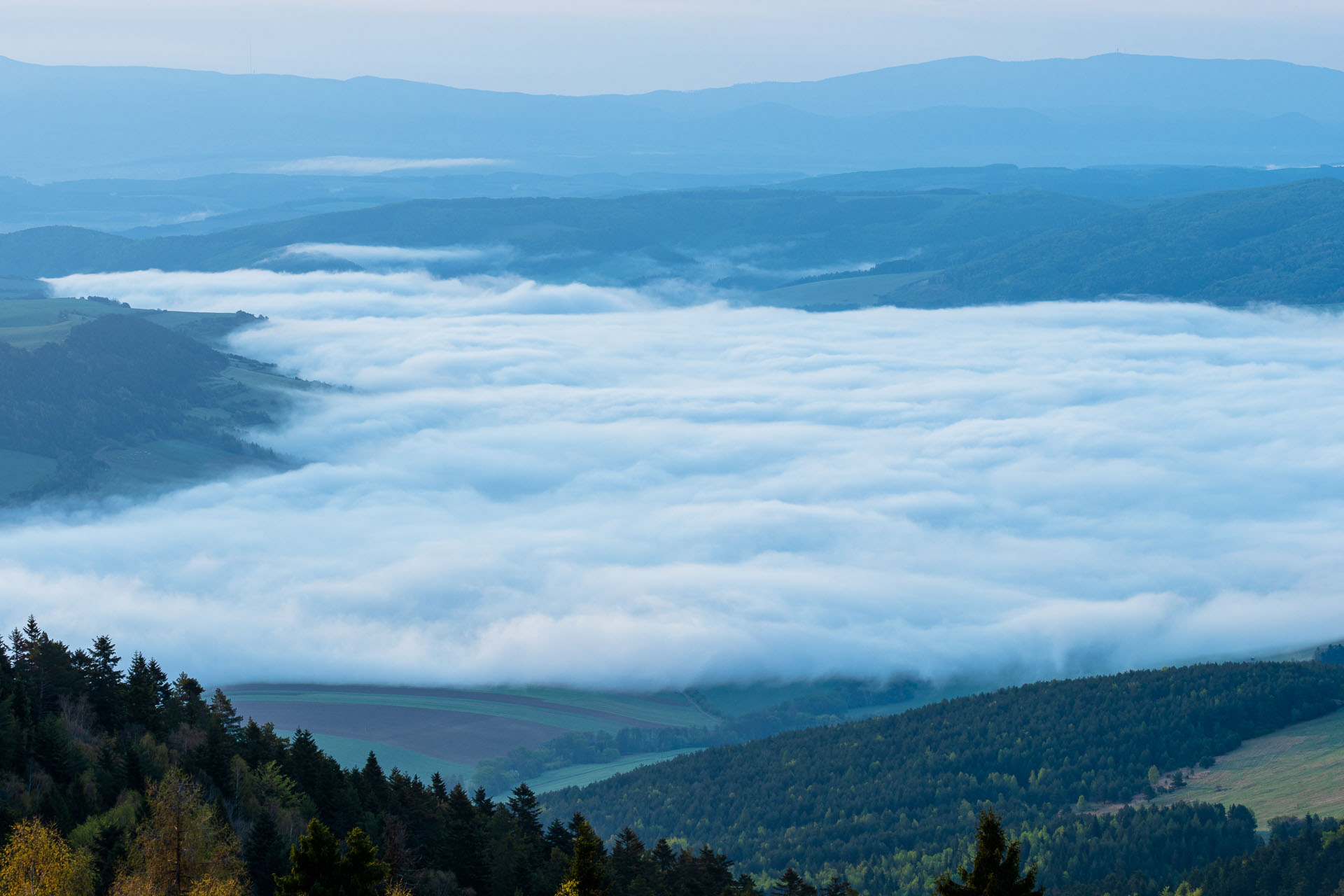 Sľubica z Vojkoviec (Branisko a Bachureň)