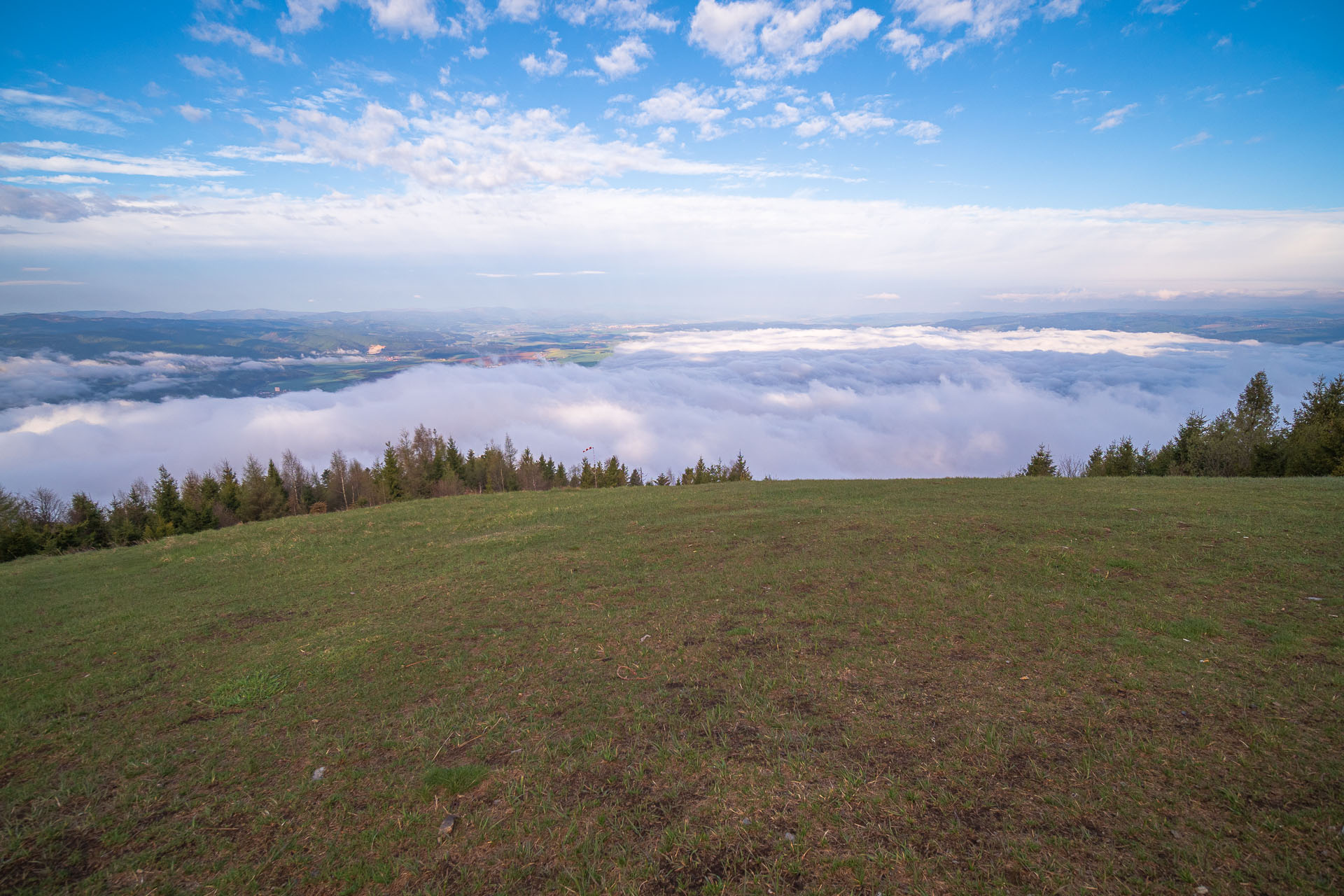 Sľubica z Vojkoviec (Branisko a Bachureň)