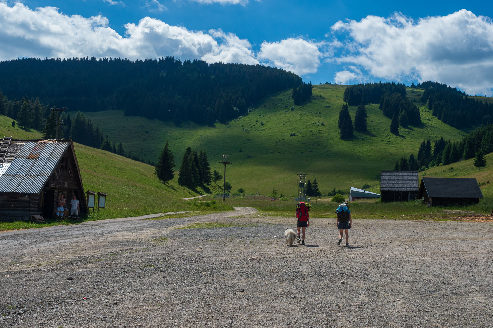 Smrečiny z Liptovskej Tepličky (Nízke Tatry)