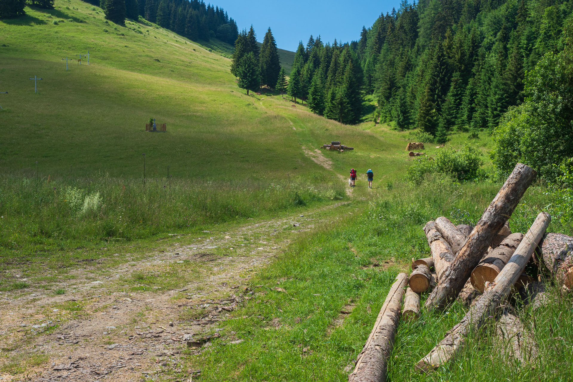 Smrečiny z Liptovskej Tepličky (Nízke Tatry)