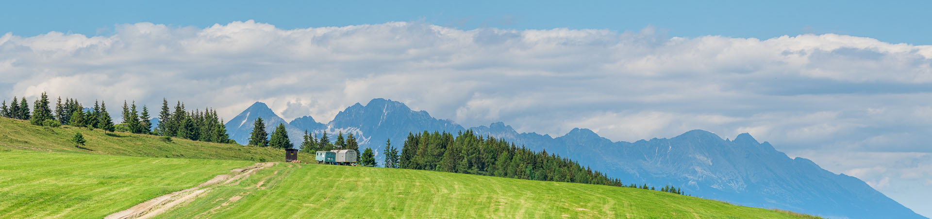 Smrečiny z Liptovskej Tepličky (Nízke Tatry)