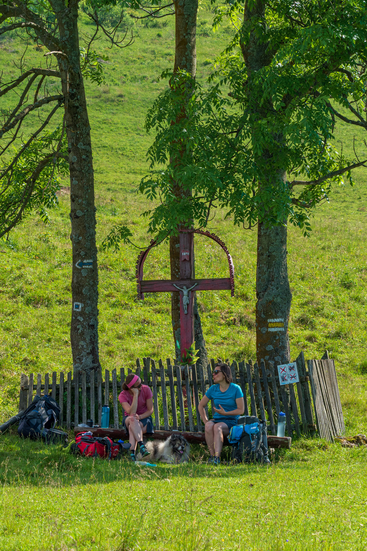 Smrečiny z Liptovskej Tepličky (Nízke Tatry)