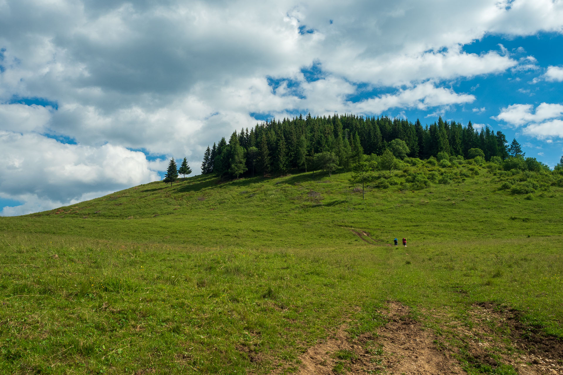 Smrečiny z Liptovskej Tepličky (Nízke Tatry)