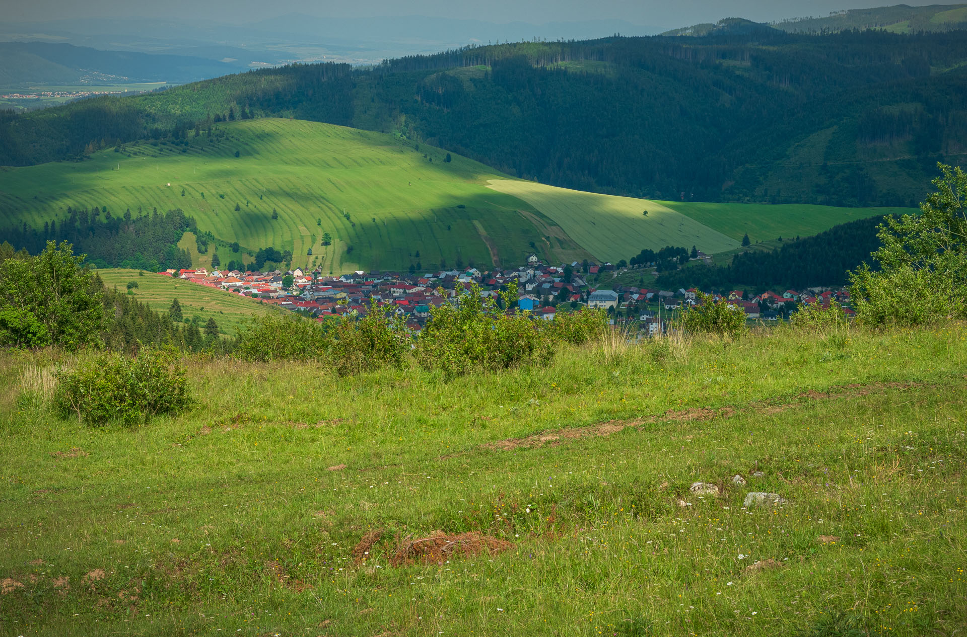 Smrečiny z Liptovskej Tepličky (Nízke Tatry)