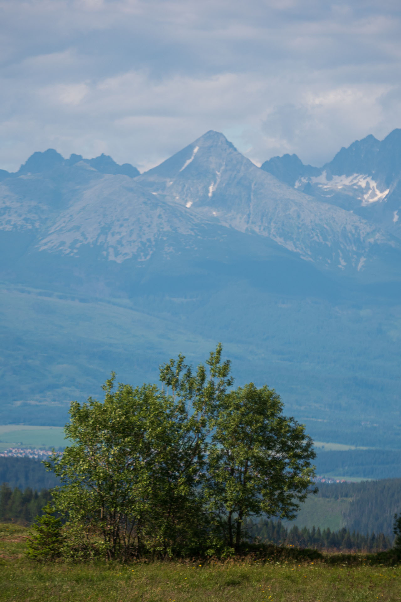 Smrečiny z Liptovskej Tepličky (Nízke Tatry)