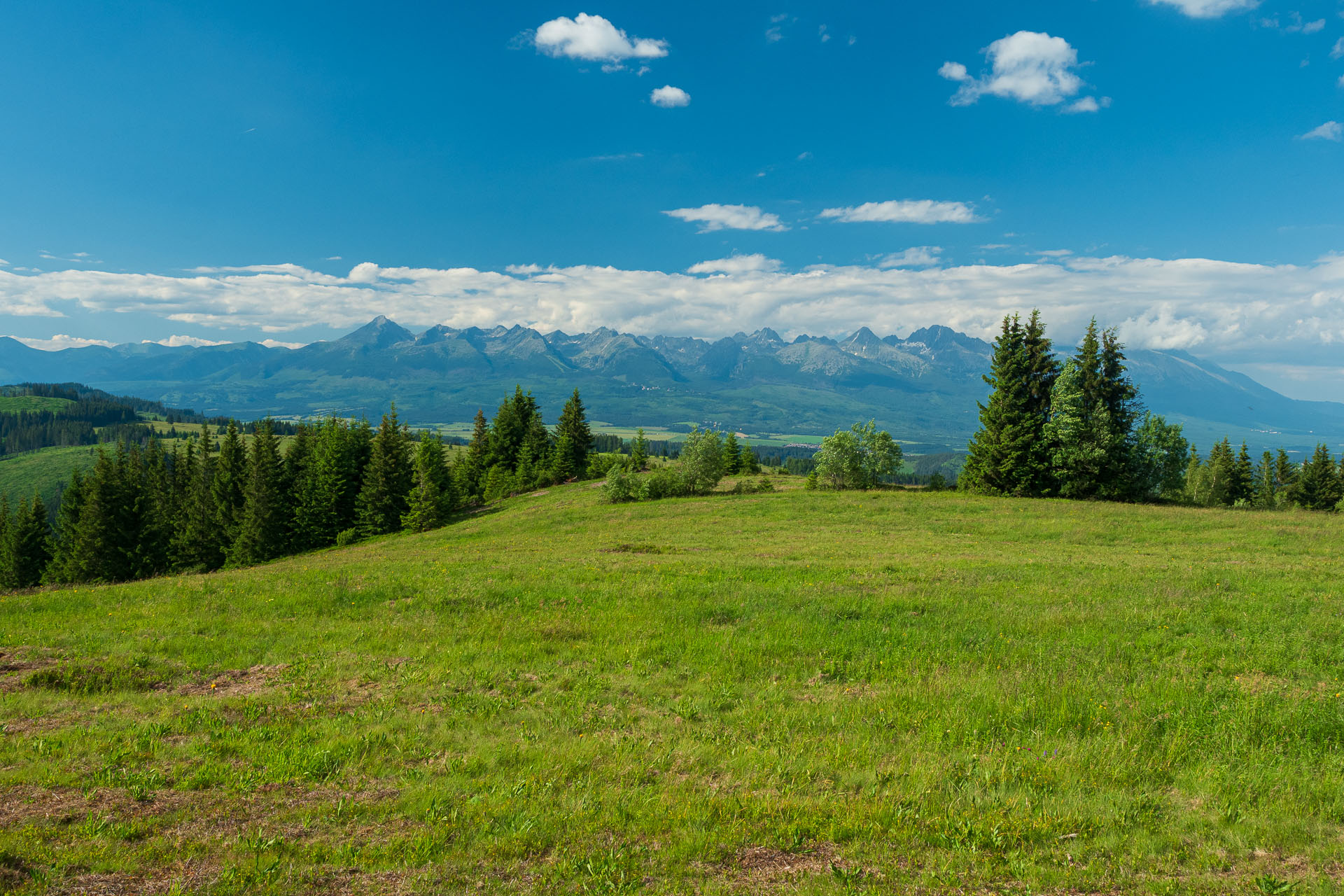 Smrečiny z Liptovskej Tepličky (Nízke Tatry)