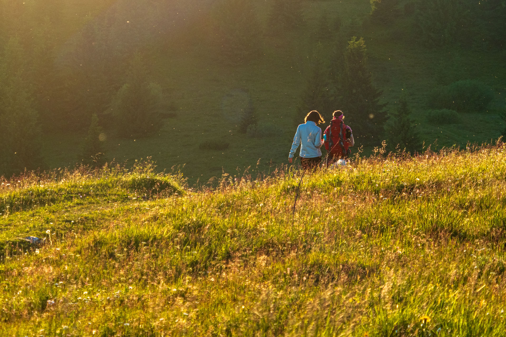 Smrečiny z Liptovskej Tepličky (Nízke Tatry)