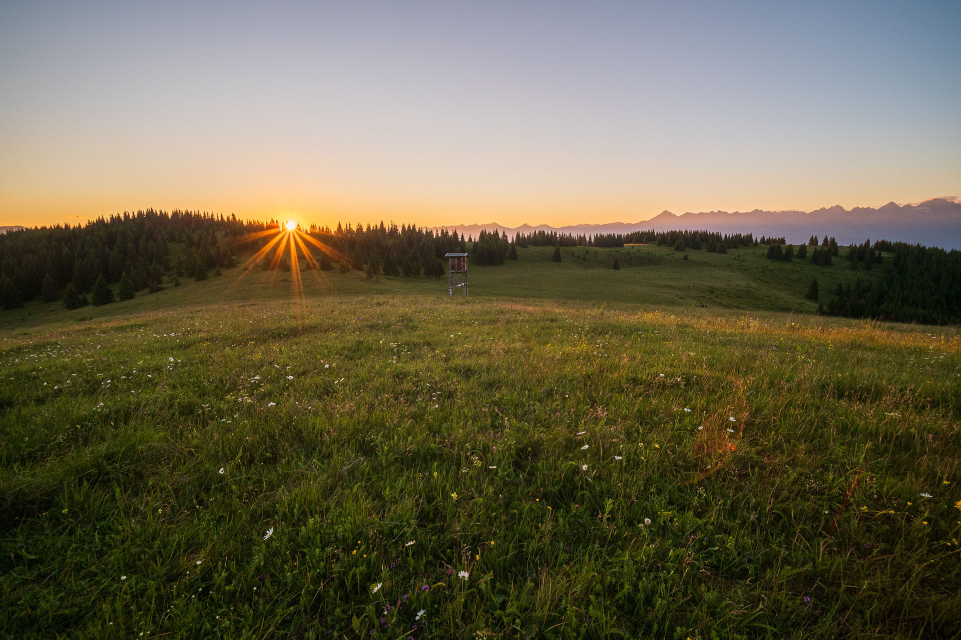 Smrečiny z Liptovskej Tepličky (Nízke Tatry)