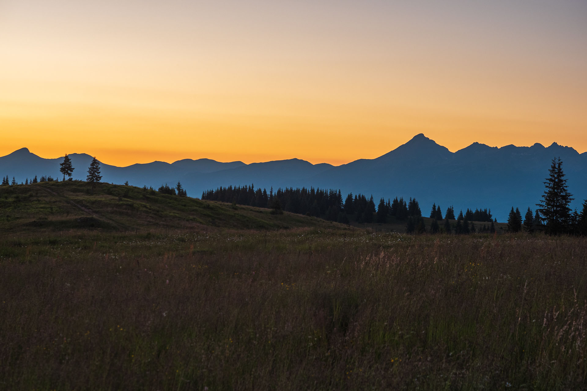 Smrečiny z Liptovskej Tepličky (Nízke Tatry)