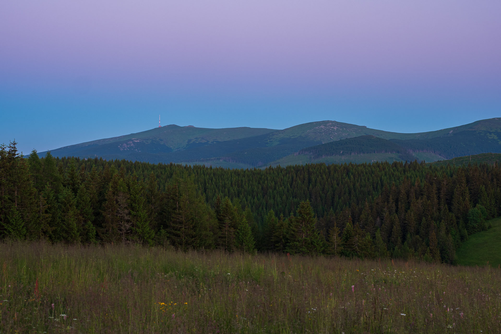 Smrečiny z Liptovskej Tepličky (Nízke Tatry)