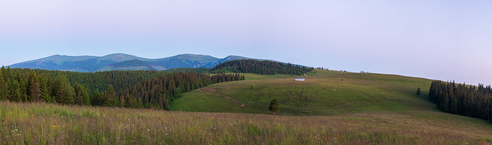 Smrečiny z Liptovskej Tepličky (Nízke Tatry)