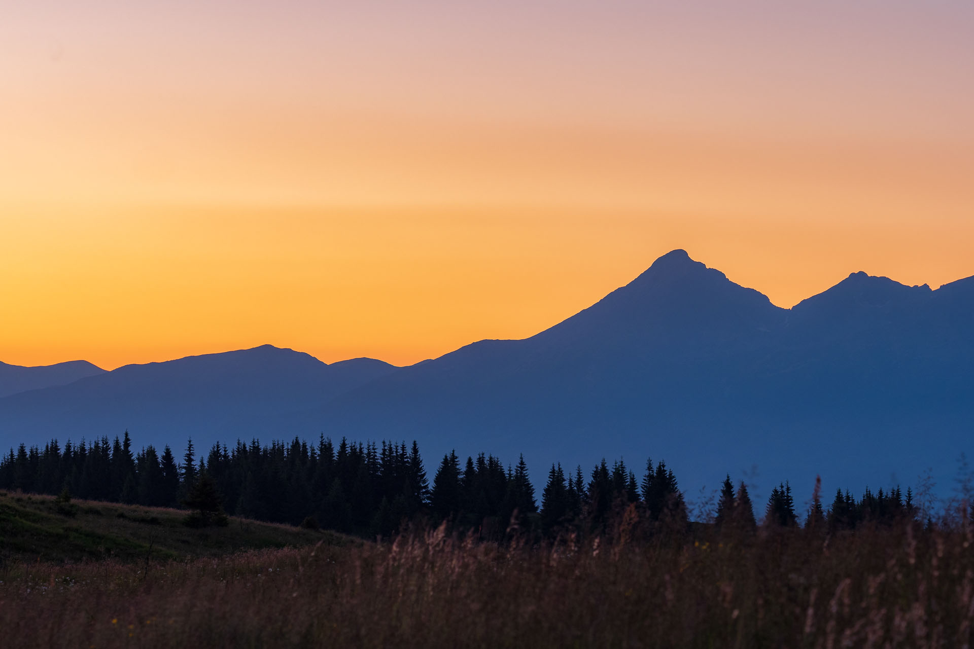 Smrečiny z Liptovskej Tepličky (Nízke Tatry)