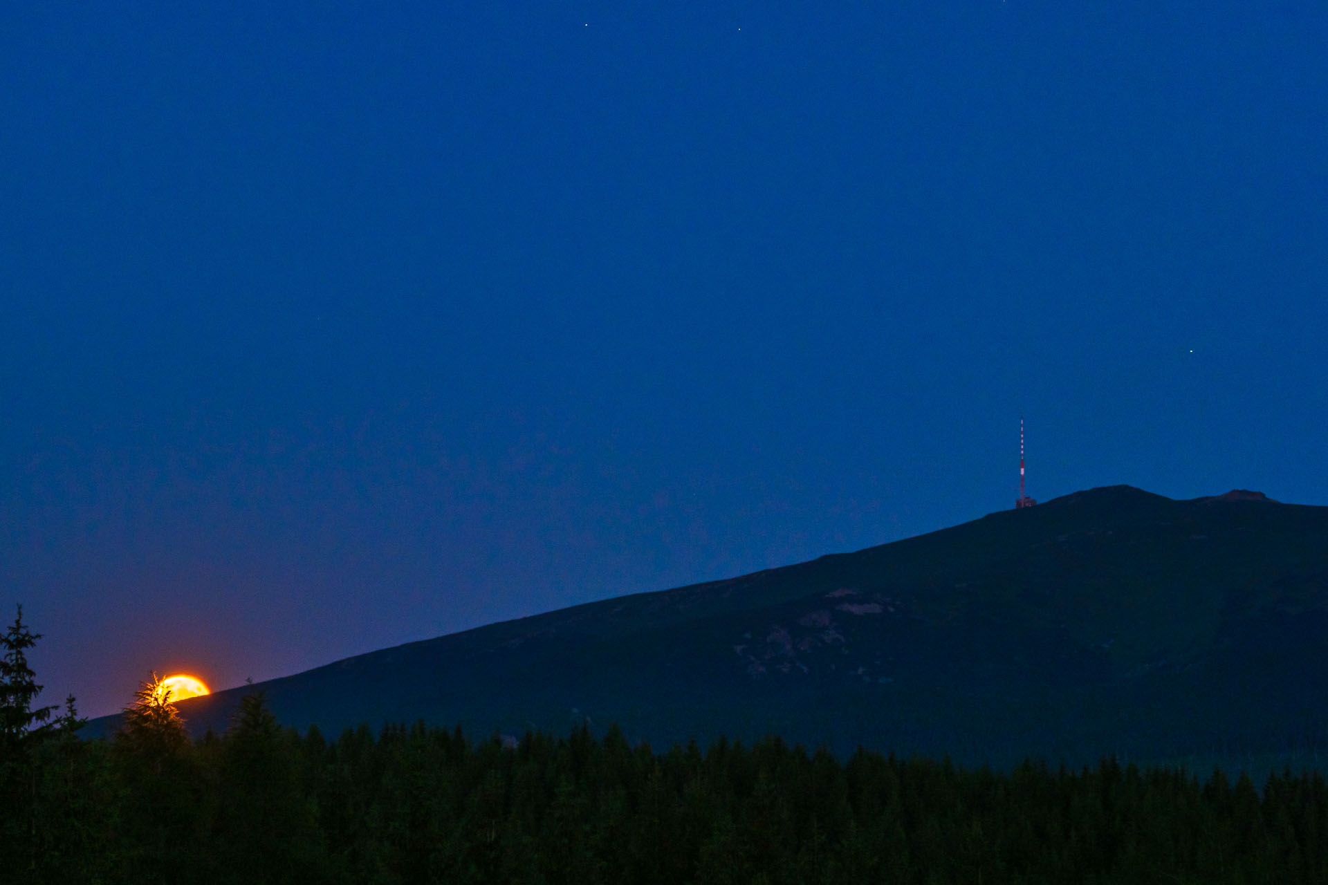 Smrečiny z Liptovskej Tepličky (Nízke Tatry)