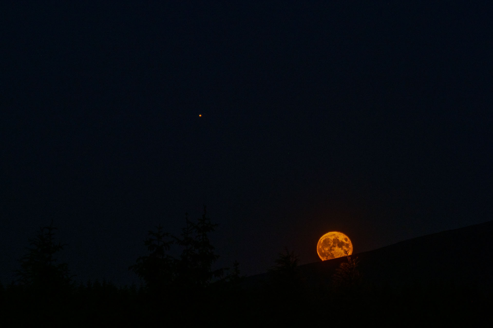 Smrečiny z Liptovskej Tepličky (Nízke Tatry)