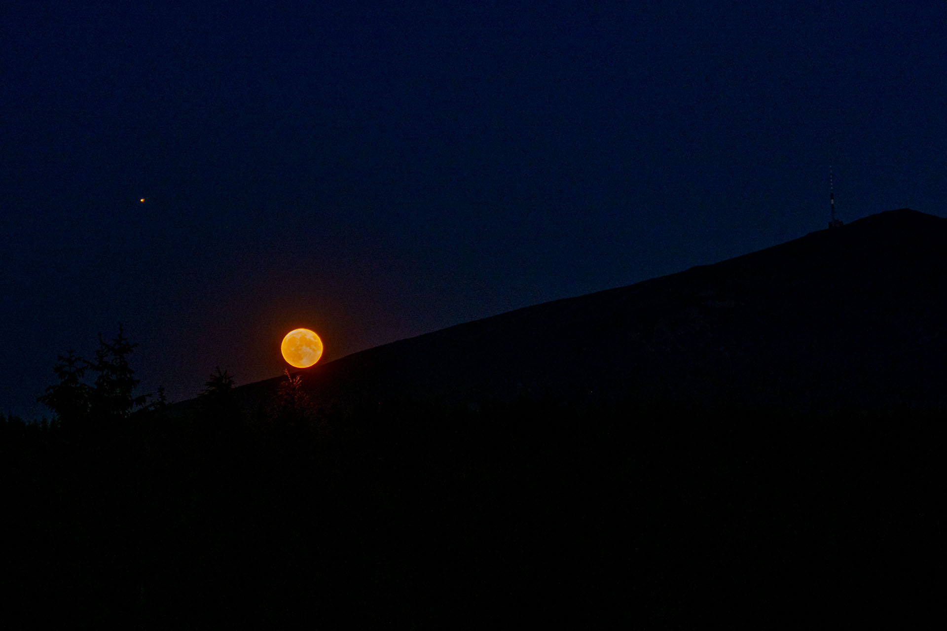 Smrečiny z Liptovskej Tepličky (Nízke Tatry)