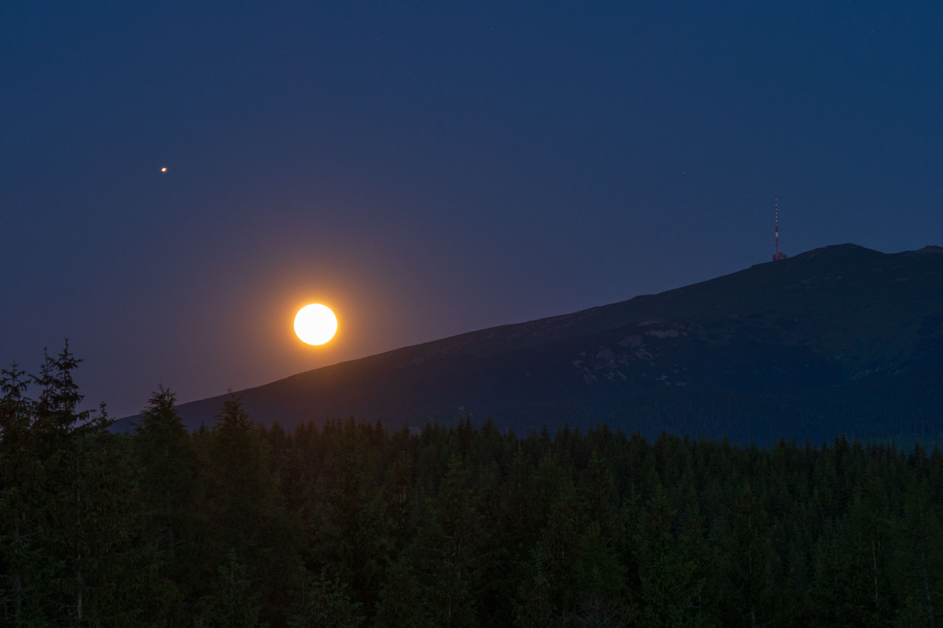 Smrečiny z Liptovskej Tepličky (Nízke Tatry)