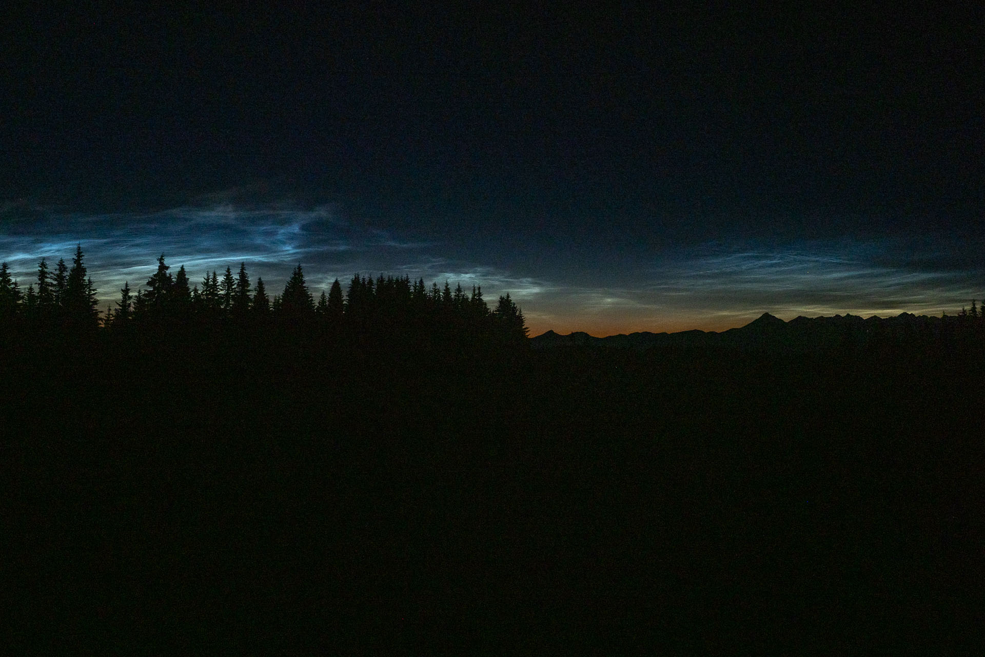 Smrečiny z Liptovskej Tepličky (Nízke Tatry)