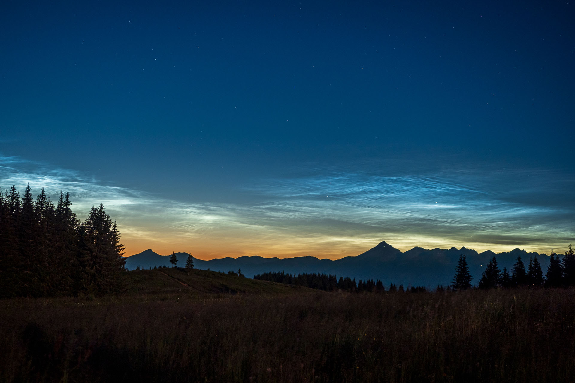 Smrečiny z Liptovskej Tepličky (Nízke Tatry)